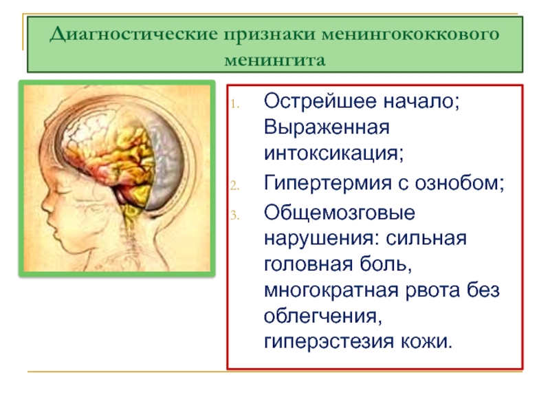 Менингит локализация. Локализация головной боли при менингите. Воспаление мозговых оболочек.