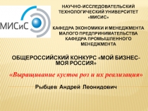 НАУЧНО-ИССЛЕДОВАТЕЛЬСКИЙ ТЕХНОЛОГИЧЕСКИЙ УНИВЕРСИТЕТ МИСИС Кафедра экономики