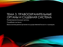 Тема 3. Правоохранительные органы и судебная система