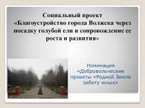 Команда Фармацевтики Социальный проект Благоустройство города Волжска через