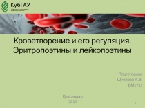 Кроветворение и его регуляция. Эритропоэтины и лейкопоэтины