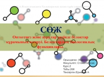 СӨЖ
Онтогенез және аурулар кезінде белоктар құрамының өзгеруі. Белоктардың