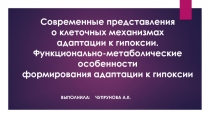 Современные представления о клеточных механизмах адаптации к гипоксии