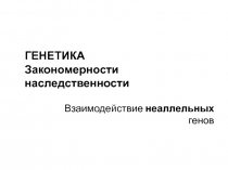 ГЕНЕТИКА Закономерности наследственности