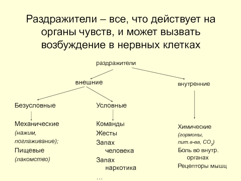 Внешние раздражители