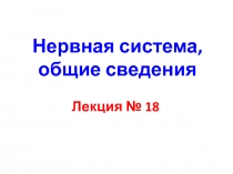 Нервная система, общие сведения