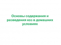 Основы содержания и разведения коз в домашних условиях