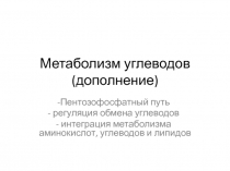 Метаболизм углеводов (дополнение)