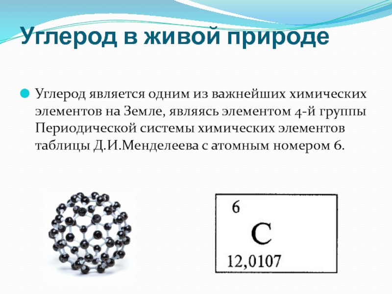 Количество элементов углерода