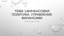 Тема 3:Финансовая политика. Управление финансами