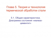 Глава 5. Теория и технология термической обработки стали