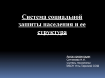 Система социальной защиты населения и её структура 10 класс