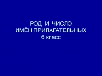 Род и число имён прилагательных 6 класс