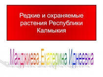 Редкие и охраняемые растения Республики Калмыкии 2 класс