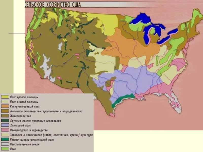 Различие по территории и по сезонам сша. Карта сельского хозяйства США 11 класс. Сельское хозяйство США карта. Пояса сельского хозяйства США на карте. Сельскохозяйственные пояса США на карте.