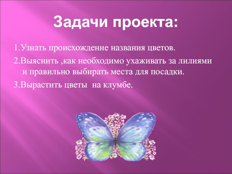 Задачи проекта:1.Узнать происхождение названия цветов.2.Выяснить ,как необходимо ухаживать за лилиями и правильно выбирать места для посадки.3.Вырастить цветы