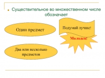 Существительное во множественном числе обозначает 4 класс