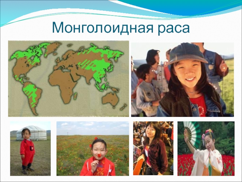 Представители монголоидной расы проживают в основном