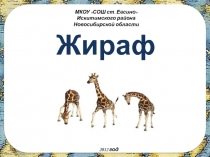 Жираф. Поэтапное рисование 4 класс