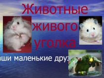 Животные живого уголка 2 класс