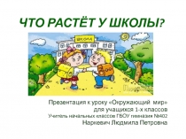 Что растет у школы? 1 класс