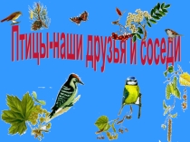 Птицы - наши друзья и соседи! 3 класс