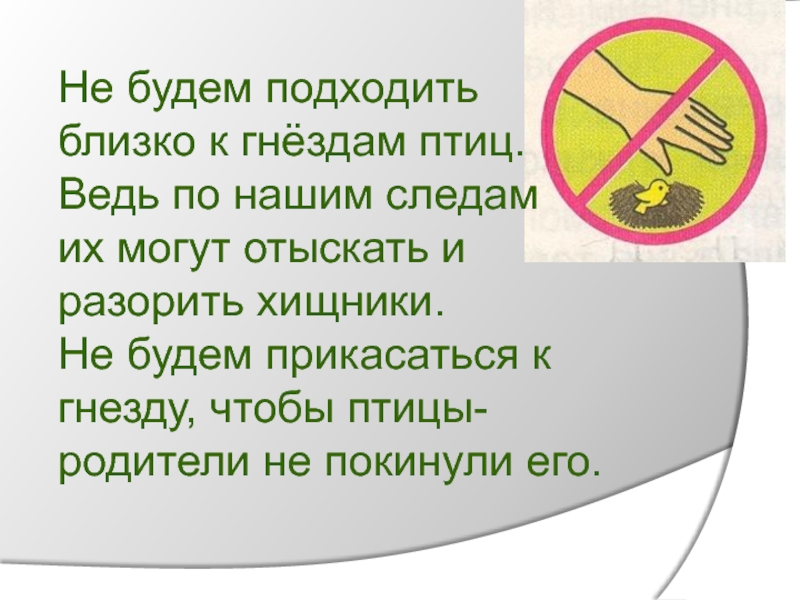 Близко соответствующий. Не подходите близко к гнездам птиц. Не будем подходить близко к гнездам птиц. Не прикасайся к гнездам птиц. Не прикасаться к гнездам птиц.