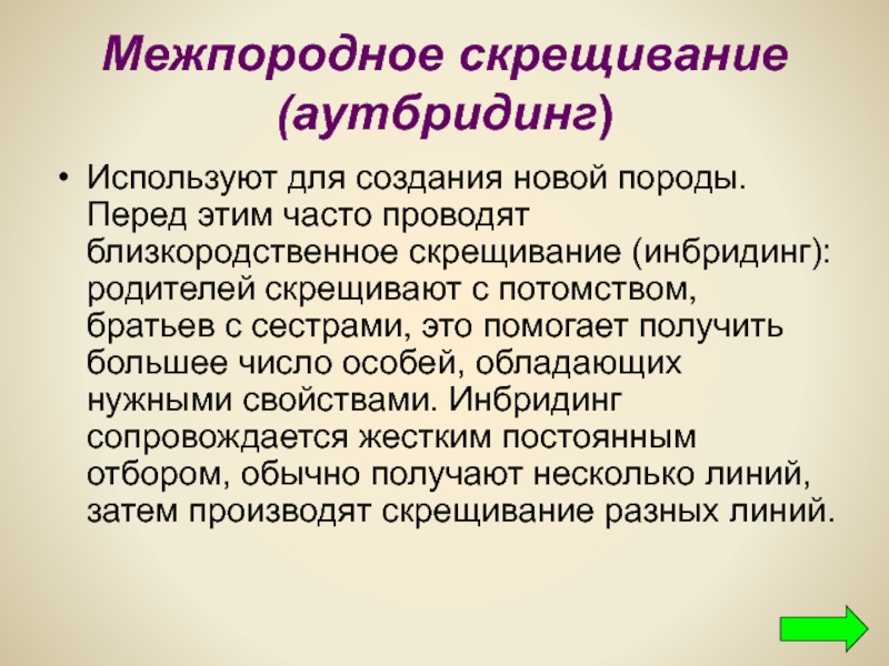 Межпородная гибридизация. Межпородное скрещивание. Близкородственное скрещивание. Межпородное скрещивание (аутбридинг). Близкородственное скрещивание примеры.