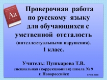 Проверочная работа по русскому языку для обучающихся с умственной отсталость 1 класс