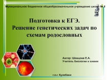 Подготовка к ЕГЭ. Решение генетических задач по схемам родословных