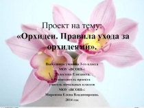 Орхидеи. Правила ухода за орхидеями