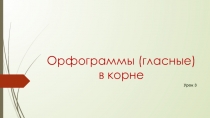 Орфограммы (гласные) в корне