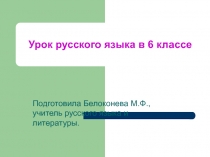 Местоимение. Обобщение по теме 6 класс