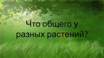 Что общего у разных растений?