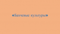 Презентация по окружающему миру 