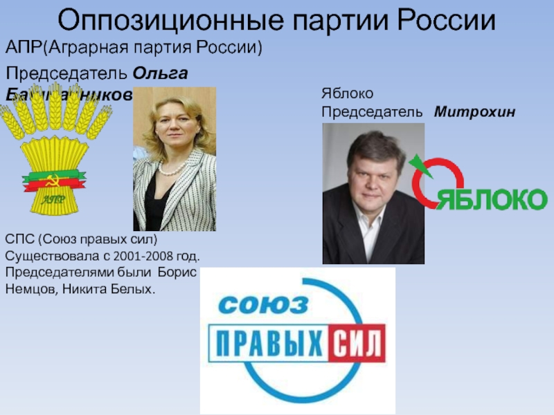 Реферат: Аграрная партия России (АПР)