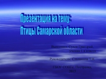 Птицы Самарской области 1 класс