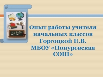 Опыт работы учителя начальных классов