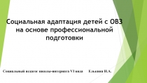 Социальная адаптация детей с ОВЗ на основе профессиональной подготовки