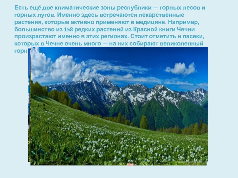 Разнообразие природы родного края проект по окружающему миру 3