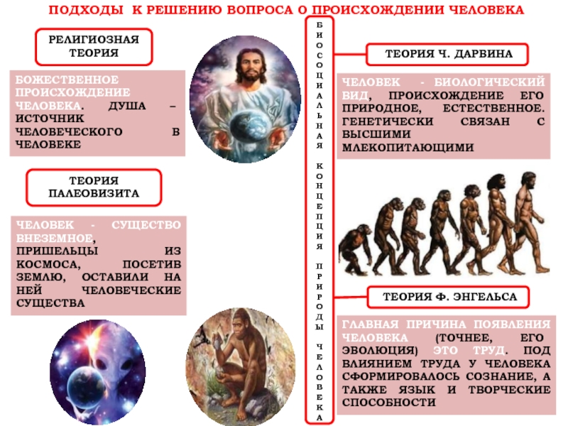 Гипотеза о происхождении человека проект