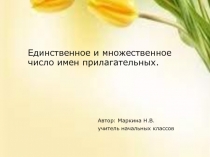 Единственное и множественное число имён прилагательных 2 класс