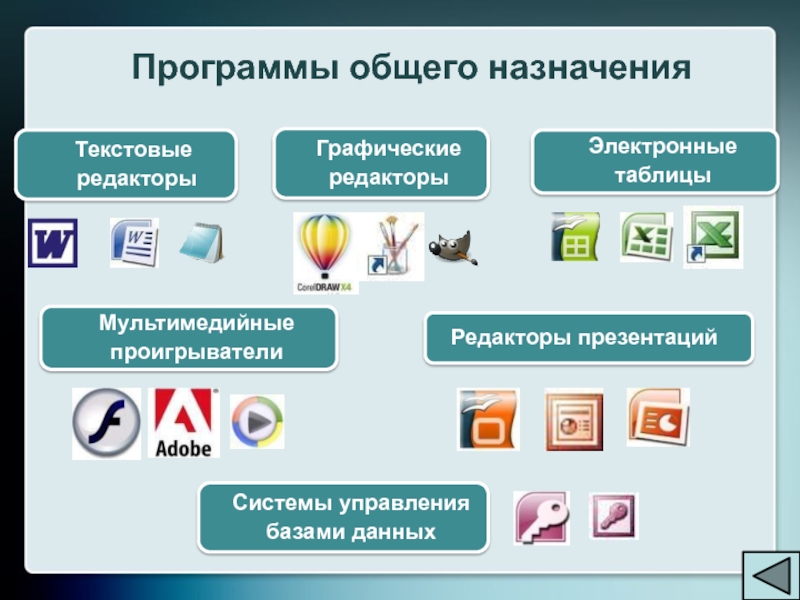 Проект по информатике создание сайта 10 класс