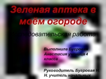 Зеленая аптека в моем огороде 4 класс