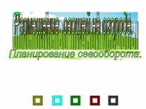 Размещение овощей на огороде. Планирование севооборота 7 класс