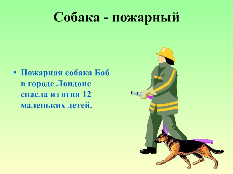 Собака - пожарныйПожарная собака Боб в городе Лондоне спасла из огня 12 маленьких детей.