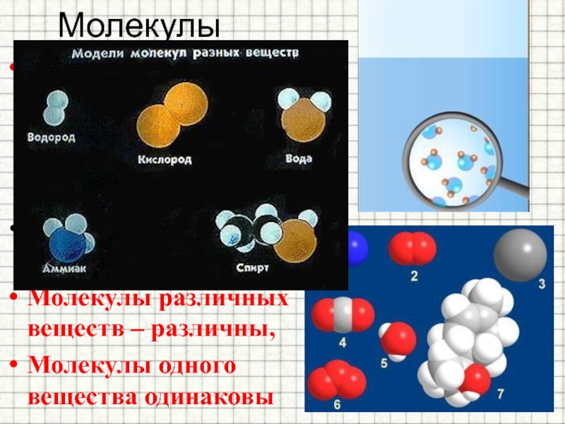 Мельчайшие частицы вещества сохраняющие. Молекулы различных веществ. Модели молекул простых веществ. Молекула молекулы веществ. Модели простых и сложных веществ.
