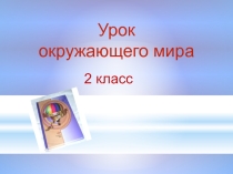 Урок  окружающего мира 2 класс