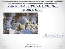 Как к зиме приготовились животные