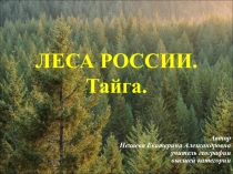 Леса России. Тайга 8 класс